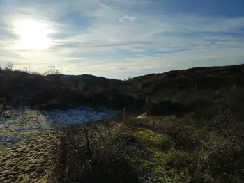 Oostnieuwkerke duinen wandeling in de koude (België)